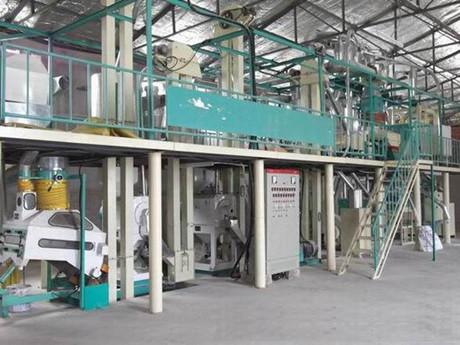 100噸玉米加工設(shè)備